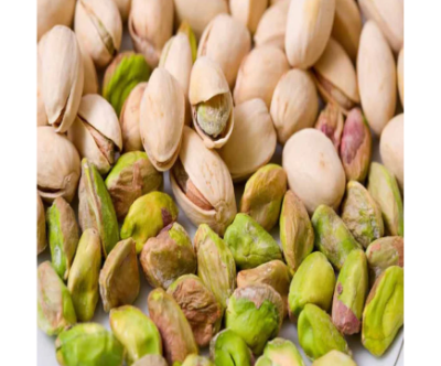 Pistachio Live Plant -Fruit Plants & Tree