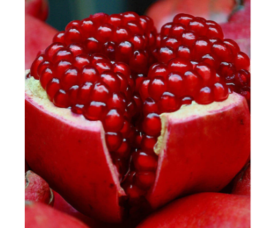 Pomegranate Bhagwa Fruit Plants & Tree | Online Anar Tree