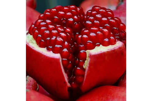 Pomegranate Bhagwa Fruit Plants & Tree | Online Anar Tree