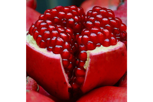Pomegranate Bhagwa - Fruit Plants & Tree