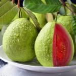 Taiwan Pink Guava Fruit Plant Tree | Pink Guava Fruit Plant